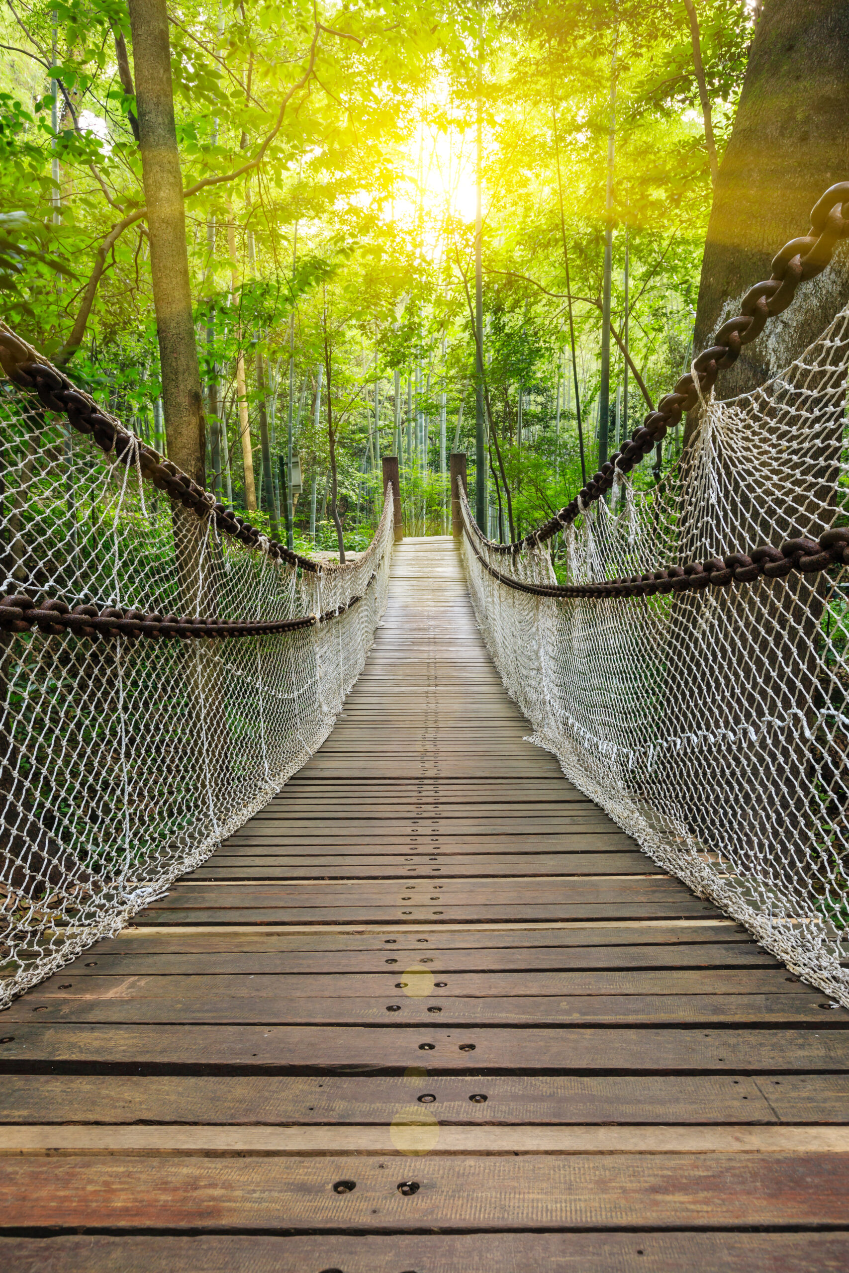 A wooden suspension bridge with rope sides stretches through a lush green forest, symbolizing self governance as it leads toward bright sunlight filtering through the trees ahead.