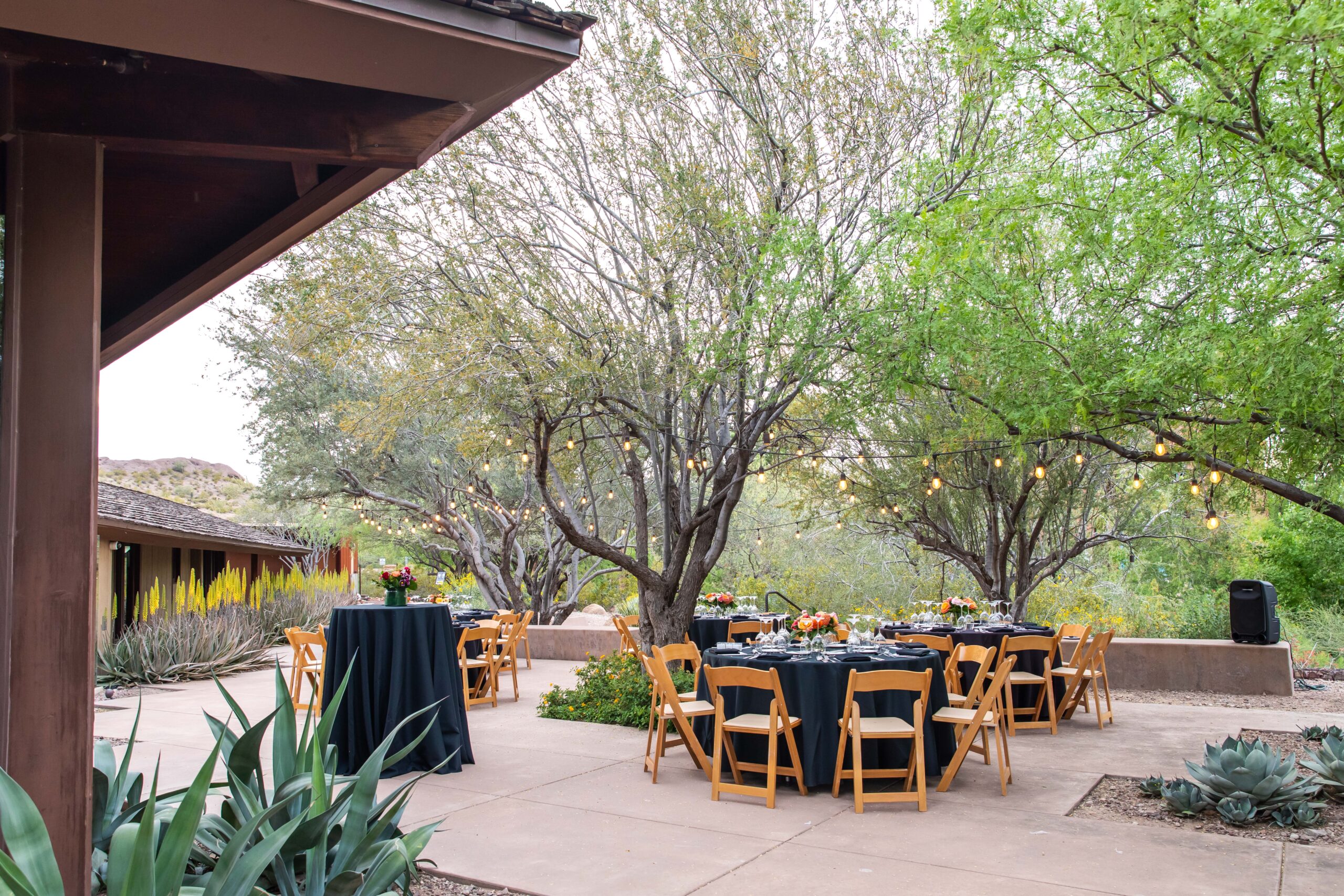 Outdoor dinner setup with round tables covered in dark cloth, surrounded by wooden chairs. Each table is adorned with floral centerpieces. String lights hang from trees, creating a cozy atmosphere. The setting is lush with greenery and a building nearby.