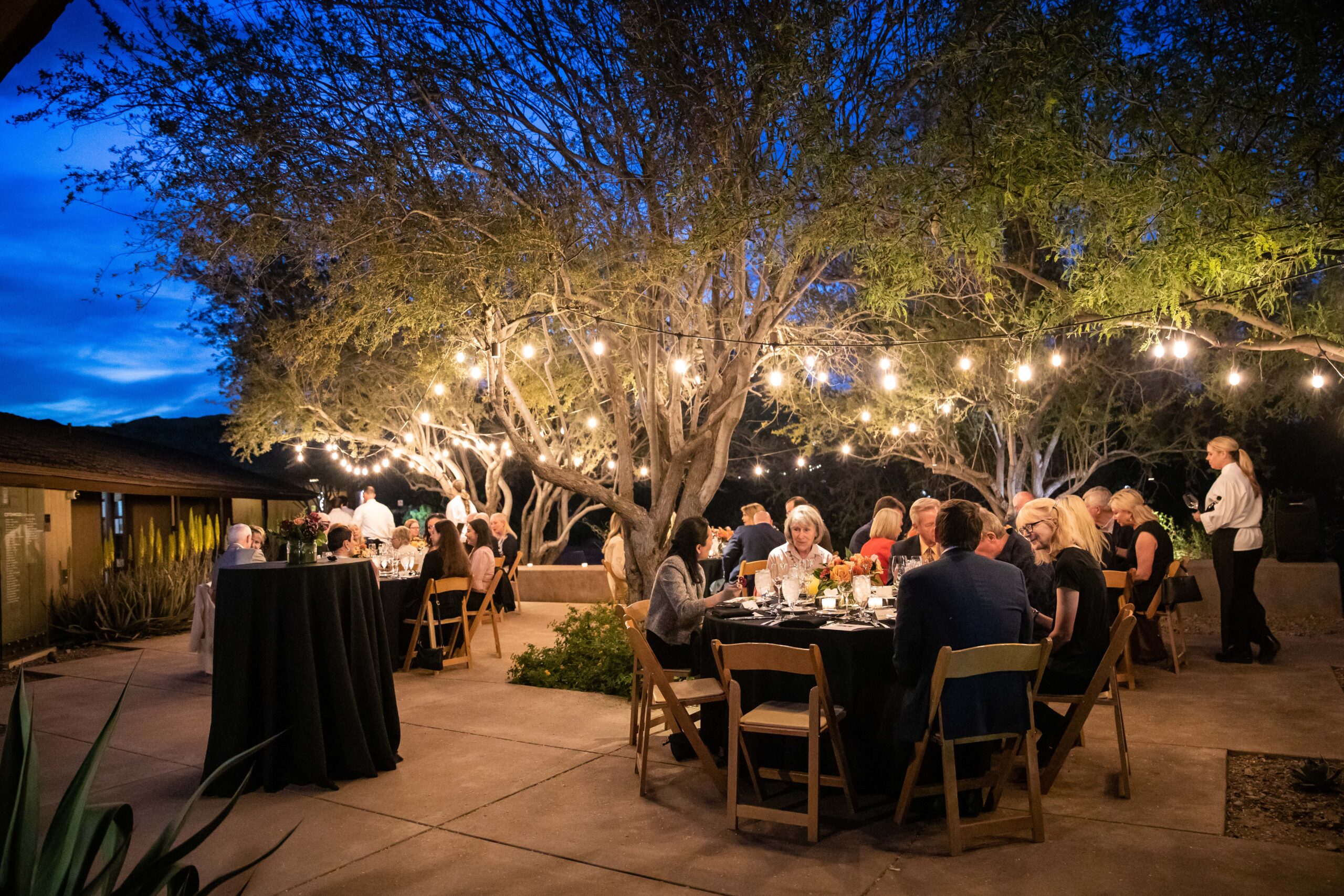 An outdoor evening gathering with people seated around tables beneath string lights. The setting features trees with sparse leaves, creating a cozy atmosphere. People are engaged in conversation under the twilight sky.