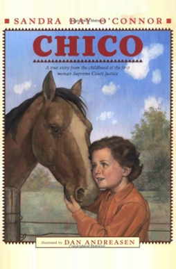 book-cover-chico-image-1